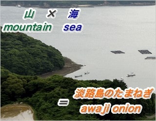 山(mountain)×海(sea)＝淡路島のたまねぎ(awaji onion)